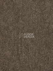 Ковролин Haima Coral 06 фото 1 | FLOORDEALER